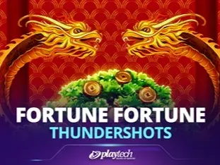Fortune Fortune_ Thundershots thumbnail